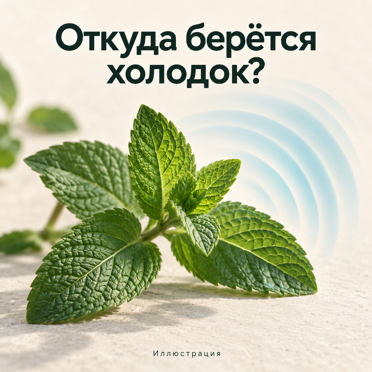 Иллюстрация к материалу «Откуда берётся холодок?»
